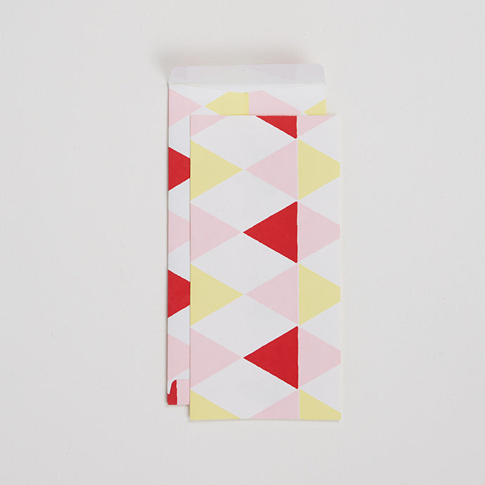 Large Envelope with Notecard Set